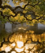 山地公路骑行第一视角10189#横屏 