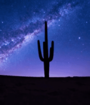 沙漠仙人掌星空夜景(2)2490#横屏 