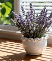 窗边木桌上的薰衣草盆栽4503#横屏 