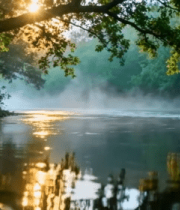 森林河流阳光清晨自然景观4011#横屏 