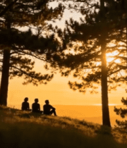 三人于树林中赏日落13742#横屏 