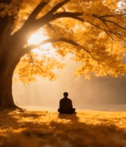 秋日一人树下静坐场景3267#横屏 