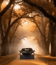 秋日森林中行驶的车辆7358#横屏 