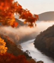 秋日山林河流自然风光5116#横屏 