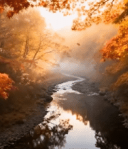 秋日溪边枫叶自然风光(1)5805#横屏 