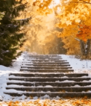 秋日森林积雪台阶风景11755#横屏 