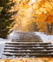 秋日森林积雪台阶风景11755#横屏 