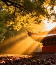 秋日古建筑阳光洒落场景169#横屏 