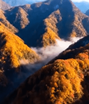 秋季山脉森林云海景观11866#横屏 