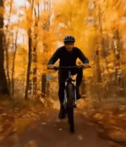 秋季森林骑行者画面14252#横屏 
