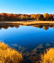 秋季自然风光湖泊与多彩树林6510#横屏 
