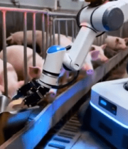 猪舍内机器人自动化养猪2274#横屏 