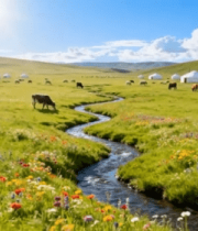 	 草原牧场景色与牛羊2820#横屏 