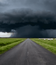 草原道路上乌云下的羊群2787#横屏 
