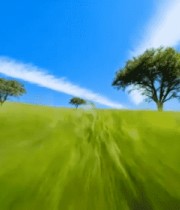 草原树木蓝天白云自然风光2788#横屏 
