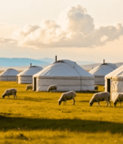 	 草原上的蒙古包与羊群8162#横屏 