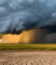 草原上空积雨云与干裂土地景象11661#横屏 