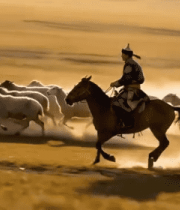 草原牧民骑马放牧羊群画面2733#横屏 