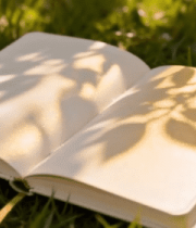 草地上翻开的书籍(2)8665#横屏 