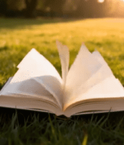 草地上翻开的书籍(4)11334#横屏 