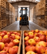 仓库内堆放的木箱装苹果6710#横屏 