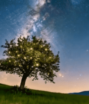 	 草地孤树夜空银河素材10668#横屏 