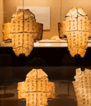 博物馆展示甲骨文文物素材14636#横屏 