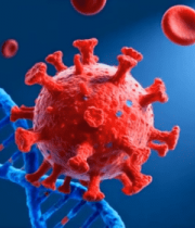 病毒与及血细胞画面14704#横屏 