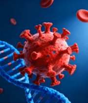 病毒与分子素材(1)14572#横屏 