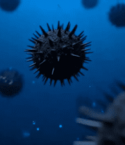 病毒渲染画面10556#横屏 