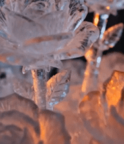 冰雕玫瑰花特写3065#横屏 