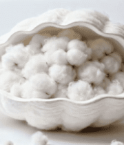 贝壳内盛放的棉花特写9540#横屏 