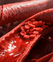 人体血管与血细胞展示素材11854#横屏 