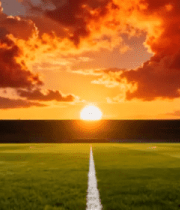 日落时分足球场全景12835#横屏 