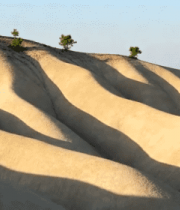沙漠沙丘与绿植景观10202#横屏 