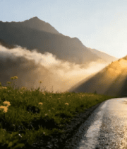 山间公路晨光风景2448#横屏 