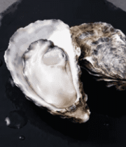 生蚝食材特写4550#横屏 