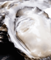 生蚝特写食材素材12663#横屏 