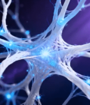 神经元渲染素材(1)14533#横屏 