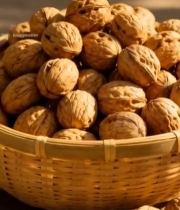  竹篮中堆放的新鲜核桃1593#竖屏 	 