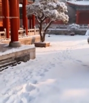  中式古建筑雪景全景(2)7526#竖屏 	 
