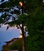  月夜下湖边树林自然风光7809#竖屏 	 