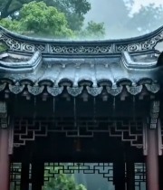  雨中古建筑屋檐及绿植景观100#竖屏 	 