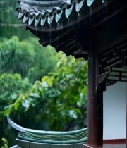  雨中古建筑屋檐特写(1)5090#竖屏 	 