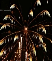  夜空中绽放的金色烟花(4)6013#竖屏 	 