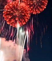  夜空中绽放的绚丽烟花()5293#竖屏 	 