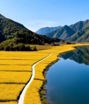  油菜花田山水风光全景3085#竖屏 	 