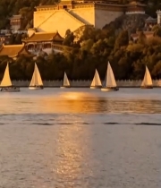  颐和园湖面帆船全景523#竖屏 	 