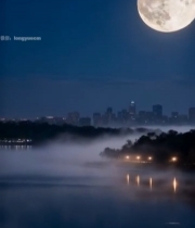  夜晚湖面圆月城市远景1034#竖屏 	 