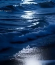  夜晚海面月光下的海浪景象5327#竖屏 	 